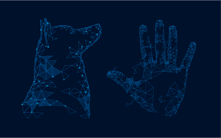 blue-wolf-and-hand